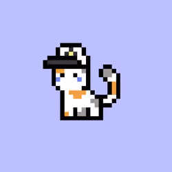 pix cats #6759