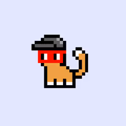 pix cats #303