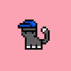 pix cats #5365