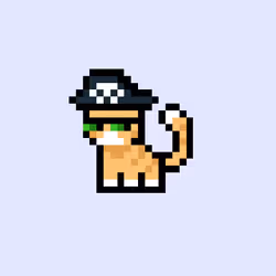 pix cats #6762
