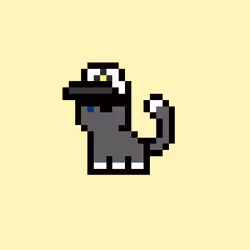pix cats #1901