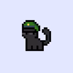 pix cats #1916