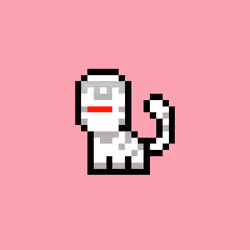 pix cats #7793