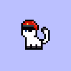 pix cats #6708