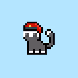 pix cats #6682