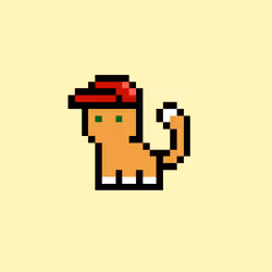 pix cats #2428