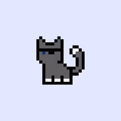 pix cats #1851