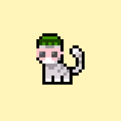 pix cats #7942