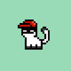 pix cats #5568