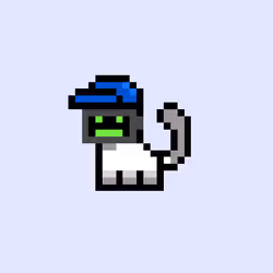 pix cats #8007