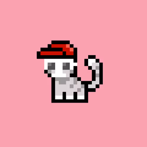 pix cats #1904