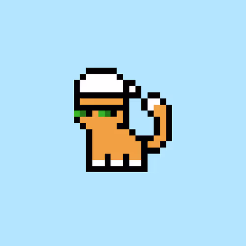 pix cats #2840