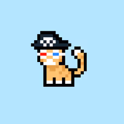 pix cats #3343