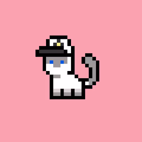 pix cats #5757