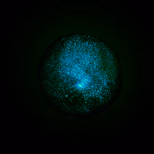 Dark Oxygen