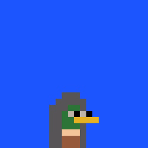 Duckbase #584