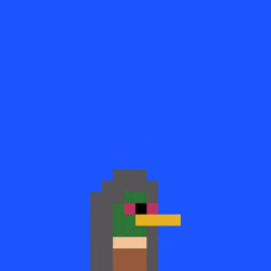 Duckbase #355