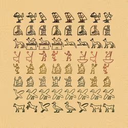 25
