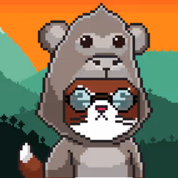 334