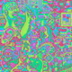 251