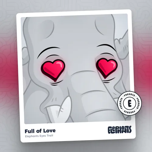Elephants Eyes: Full of Love