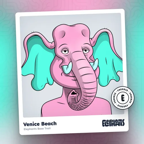 Elephants Base: Venice Beach