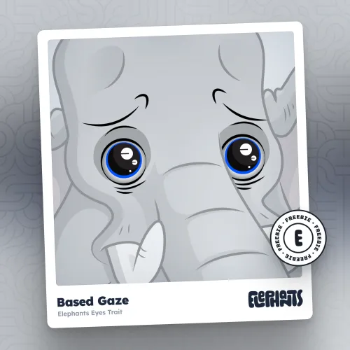 Elephants Eyes: Based Gaze