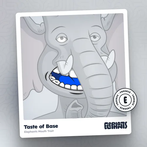 Elephants Mouth: Taste of Base