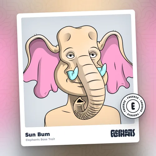 Elephants Base: Sun Bum