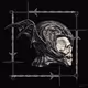 166