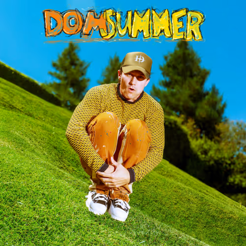 Domsummer Intro