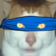 Jebediah