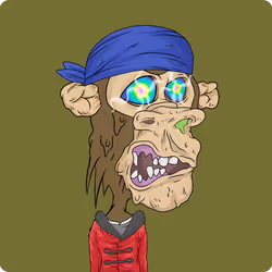 41