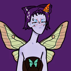 6