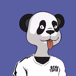 519