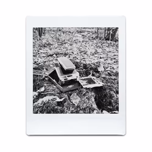 Item #193 Media
