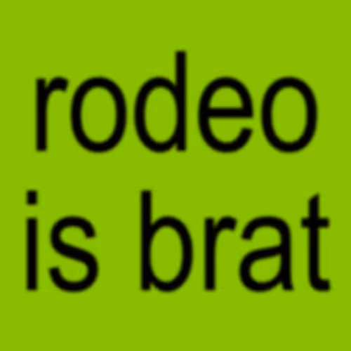 Rodeo Posts 7