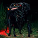 Rodeo posts