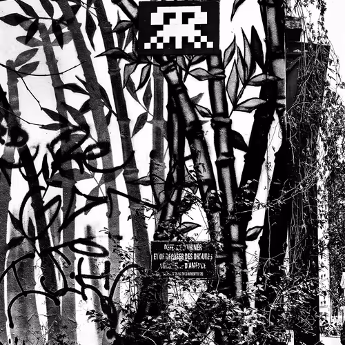 Space Invader 6