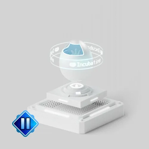 Owlbot Egg 493523023