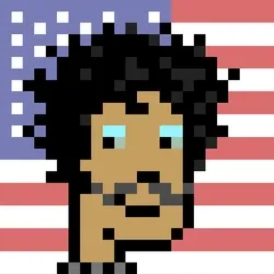 USA Punks