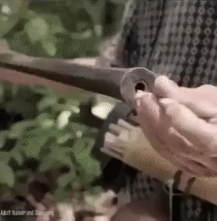 Crypto Hunter Dump
