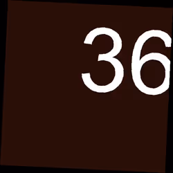 Item 36