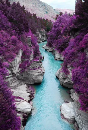 Purple Nature #20