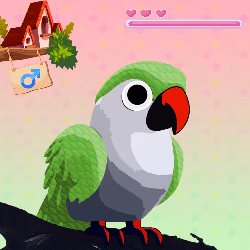 Lovebird Farm #319