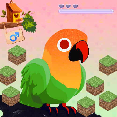 Lovebird Farm #181