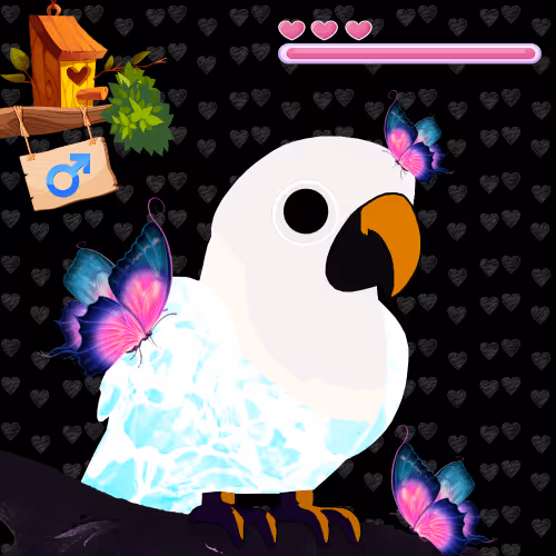 Lovebirds Farm Journey 2