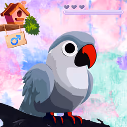 Lovebird Farm #133