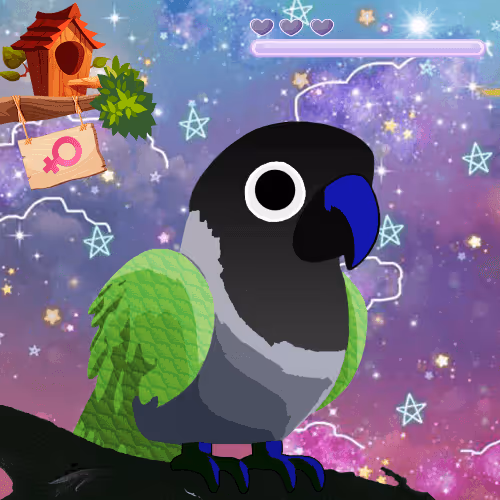 Lovebirds Farm Journey 2