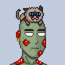 Zombie 804